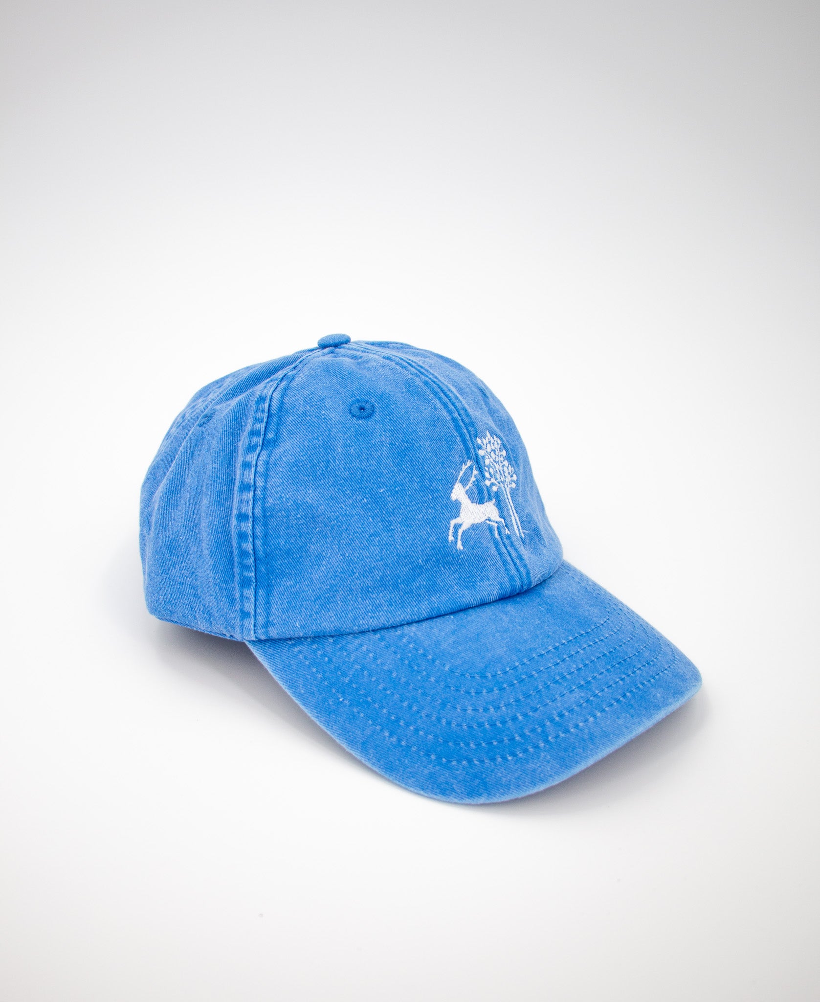 BLÅ VINTAGE CAPS - FAY