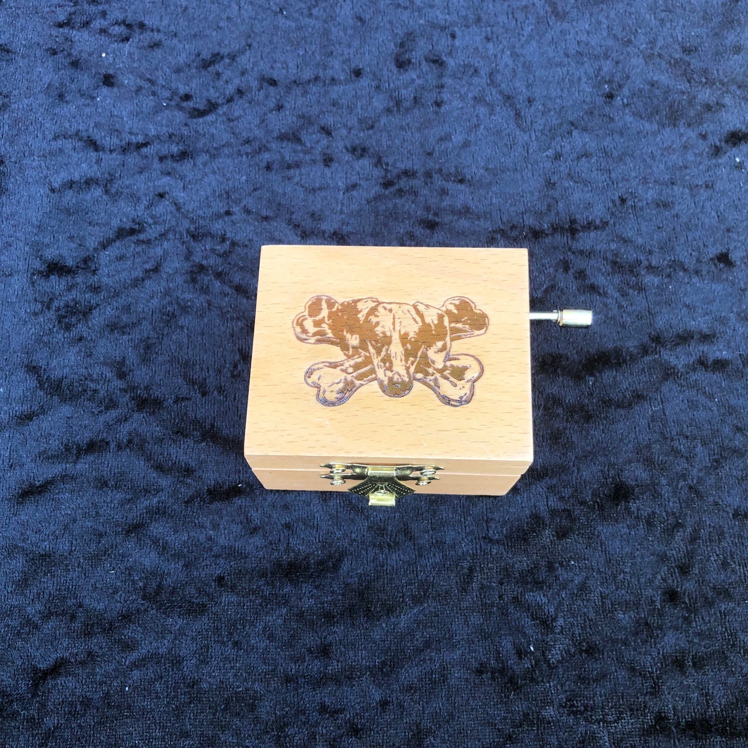 The Dogs Music box